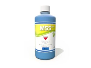 MSS