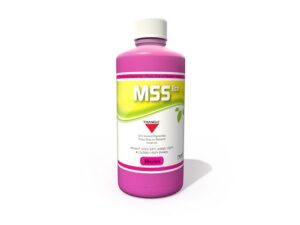 MSS